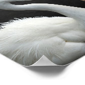 白黒ヘロン熱帯印刷芸術 ポスター (角)