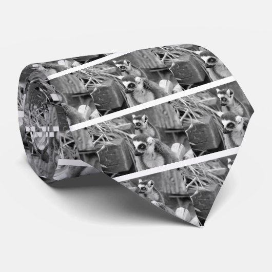 白黒ベビーを持つリング後につかれたlemur ネクタイ (ロール)