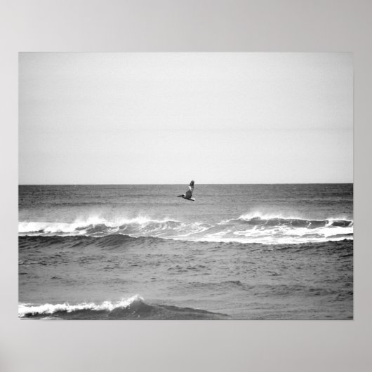 白黒ペリカン飛んでいる海16x20 ポスター (正面)