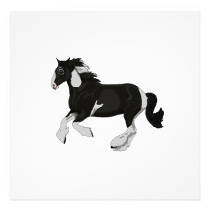 白黒ペンキのまだら馬のジプシーのVannerの馬 フォトプリント