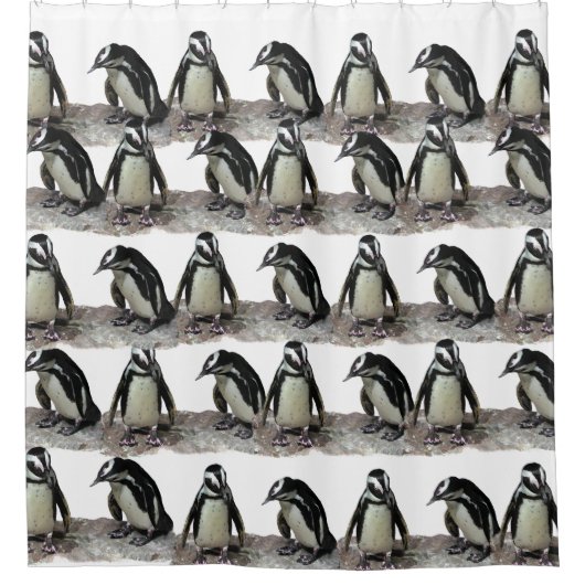 白黒ペンギンの鳥のシャワーカーテン シャワーカーテン (正面)