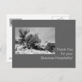 白黒ホスピタリティありがとう ポストカード (正面/裏面)