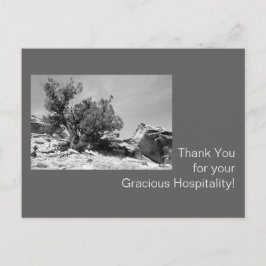 白黒ホスピタリティありがとう ポストカード