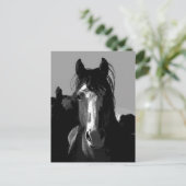 白黒ホースポートレート ポストカード (スタンド正面)