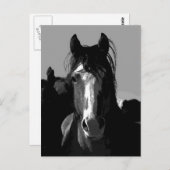 白黒ホースポートレート ポストカード (正面/裏面)