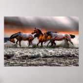 白黒ホースモノクロ写真キャンバス ポスター (正面)