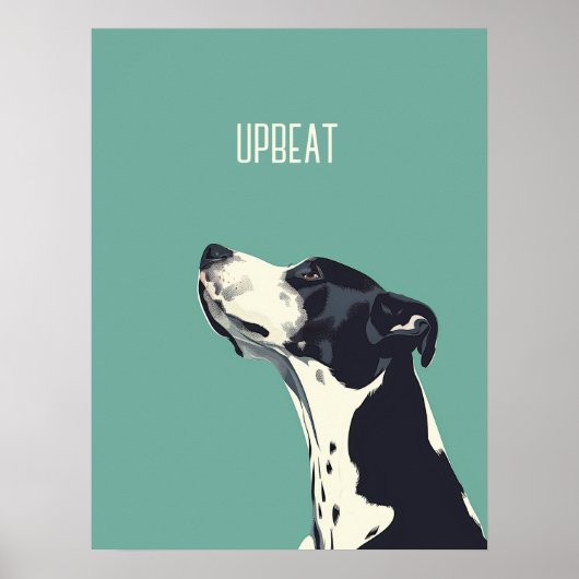 白黒ボクサー ポスター (正面)