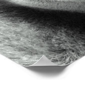 白黒ポスターのゴリラ ポスター (角)