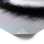 白黒ポメラニア犬ポスター ポスター (角)