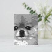 白黒ポメラニア犬 ポストカード (スタンド正面)