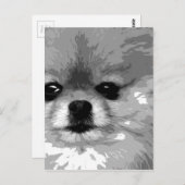 白黒ポメラニア犬 ポストカード (正面/裏面)