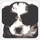 白黒マルチーズ子犬 スクエアシール (正面)