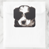 白黒マルチーズ子犬 スクエアシール (バッグ)