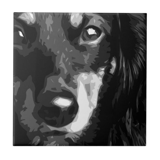 白黒ミニチュアダックスフント タイル (正面)