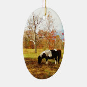 白黒ミニチュアポニー/馬 セラミックオーナメント (右)