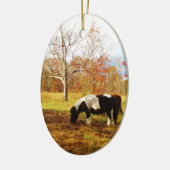 白黒ミニチュアポニー/馬 セラミックオーナメント (左)