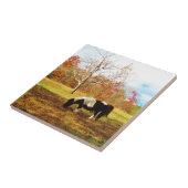 白黒ミニチュアポニー/馬 タイル (側面)