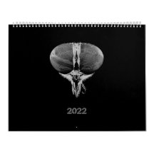 白黒ミニマリスト昆虫 – バグ2022