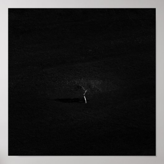 白黒ミニマルの寂しい木 ポスター (正面)