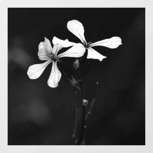 白黒ミニマルフローラ ウィンドウサイン (シート)