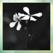 白黒ミニマルフローラ ウィンドウサイン (シート3)