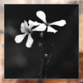 白黒ミニマルフローラ ウィンドウサイン (シート2)