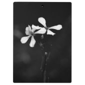 白黒ミニマルフローラ クリップボード (裏面)