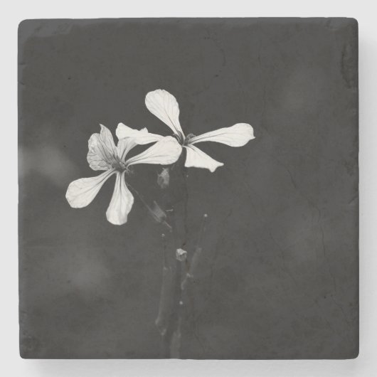 白黒ミニマルフローラ ストーンコースター (正面)