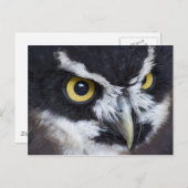 白黒メガネフクロウ ポストカード (正面/裏面)