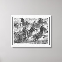 白黒モダン撮影ファインアートゼブラ