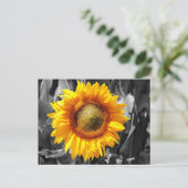 白黒モノクロイエローヒマワリ ポストカード (スタンド正面)