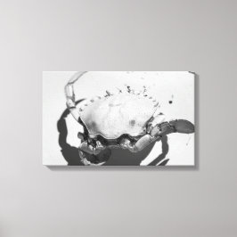 白黒モノクロームシー海カニ キャンバスプリント