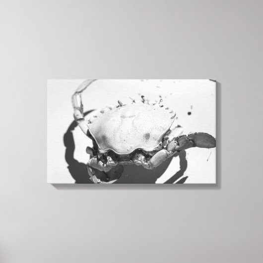 白黒モノクロームシー海カニ キャンバスプリント (正面)