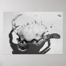 白黒モノクロームシー海カニ ポスター