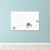 白黒モノクロ農村野生の馬 キャンバスプリント (インサイチュ (ウッドフロア))