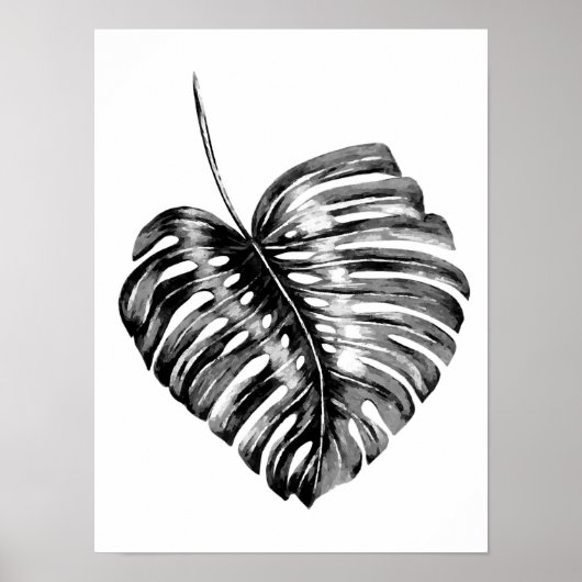 白黒モンステラの葉の水色のトロピカル ポスター (正面)