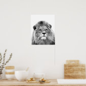 白黒ライオンの動物の野生のジャングル写真 ポスター (キッチン)