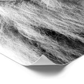 白黒ライオンの動物の野生のジャングル写真 ポスター (角)