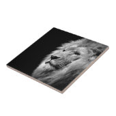 白黒ライオンポートレート – 動物写真 タイル (側面)