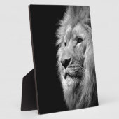 白黒ライオンポートレート – 動物写真 フォトプラーク (側面)