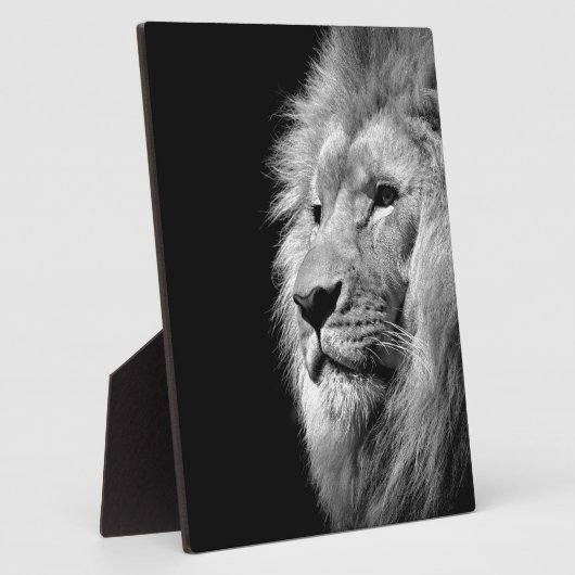 白黒ライオンポートレート – 動物写真 フォトプラーク (側面)