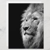 白黒ライオンポートレート – 動物写真 レターヘッド (正面/裏面)