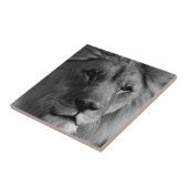 白黒ライオン タイル (側面)