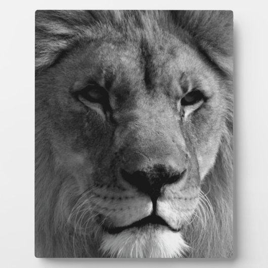 白黒ライオン フォトプラーク (正面)