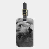 白黒ライオン ラゲッジタグ (正面縦)