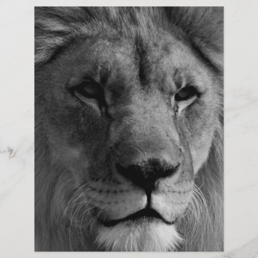 白黒ライオン レターヘッド (正面)