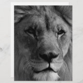 白黒ライオン レターヘッド (正面/裏面)