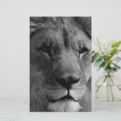 白黒ライオン 便箋 (スタンド正面)