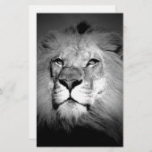 白黒ライオン 便箋 (正面/裏面)