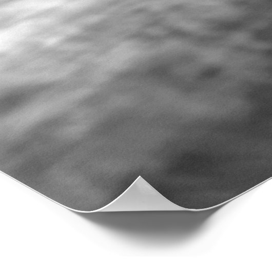 白黒ライオン – 野生動物の写真 ポスター (角)